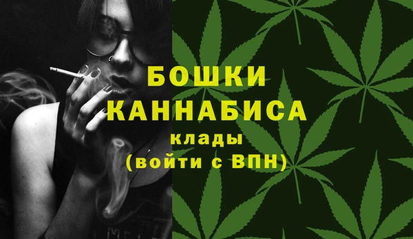 шишки Богородск