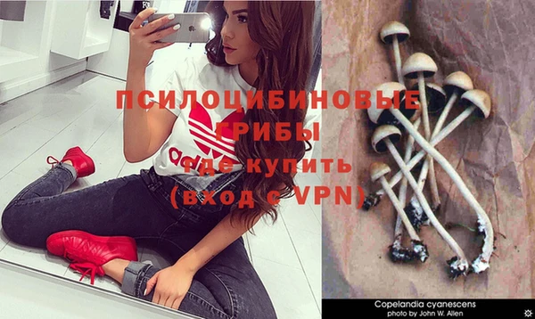 героин Богданович