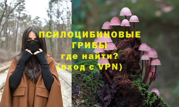 шишки Богородск