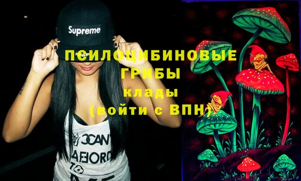 круглые Богородицк