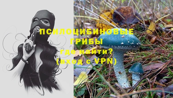 шишки Богородск